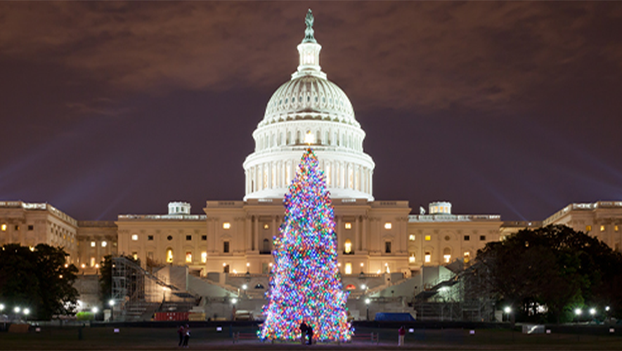 Washington DC Capital building with Christmas tree lit