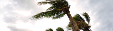 5 Hurricane Season Preparedness Tips for Boaters