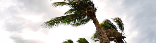 5 Hurricane Season Preparedness Tips for Boaters